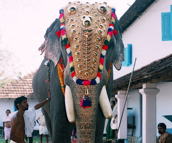 Guruvayoor Temple Padmanaban