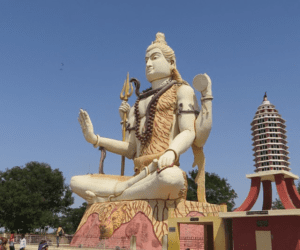 Nageshwar Jyotirlinga Shiv Idol